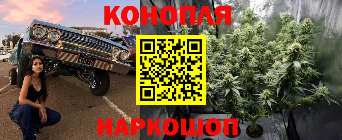 Бошки Шишки индика  Канабис OG Kush  Каннабис Amnesia  Вход с VPN  Комсомольск-на-Амуре  Конопля конопля 